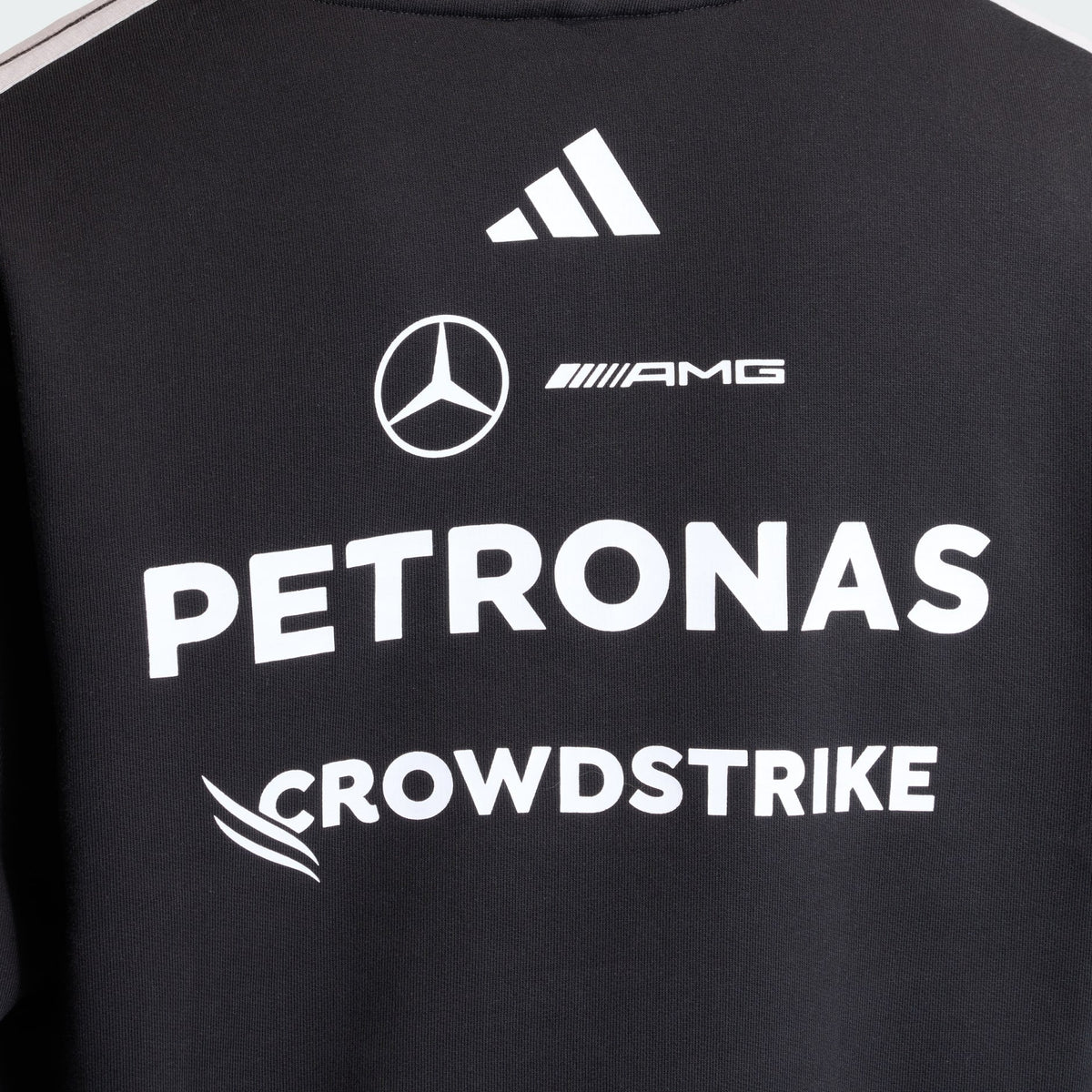 Felpa con cappuccio Team Driver 2026 Mercedes-AMG Petronas Formula 1 Team